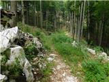 Bevški vrh - Mali Golak