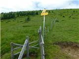 Hirschegg - Hirschegger Alm (južni vrh)