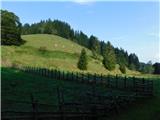 Alpl (Waldschulle Alpl) - Edelweißhütte auf der Waldtonialm