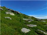 Oberfresen (Brendlwald) - Großer Speikkogel (Golica / Koralpe)