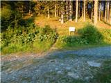 Mariensee (Biotop) - Marienseer Schwaig