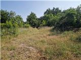 Crveni Vrh - Markovac