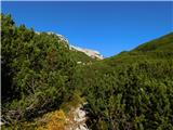 Planina Ravne - Veliki vrh (Veža)