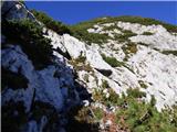 Planina Podvežak - Mala Ojstrica