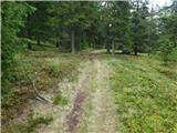 Reichenfels (most čez Labotnico / Lavant) - Peterer Hütte