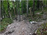 Koča pod slapom Rinka - Orlovo gnezdo