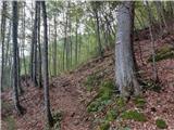 Spodnje Belopeško jezero - Mala Ponca