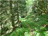 Kal-Koritnica - Lipnik (nad Lepeno)