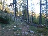 Planina Ravne - Veliki vrh (Veža)