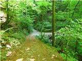 Planina Polog - Žlejžn