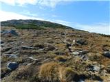 Parkirišče Hoyer (Neuhofgraben) - Speikkogel (Glinska planina / Gleinalpe)