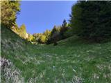 Along the small gully