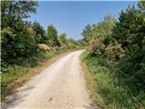 Crveni Vrh - Markovac