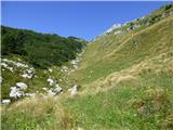 Žaga - Velika Baba (Kanin)