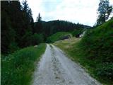 Javorje (Mala Črna) - Smrekovec