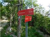 Bevški vrh - Veliki Modrasovec
