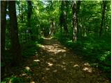 Žejno (Foto Ivanšek) - Sveti Vid (Šentviška gora)
