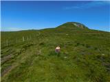 Oberfresen (Brendlwald) - Großer Speikkogel (Golica / Koralpe)