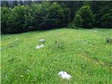 Kal-Koritnica - Lipnik (nad Lepeno)