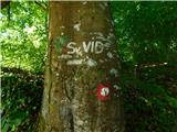 Čatež ob Savi - Sveti Vid (Šentviška gora)