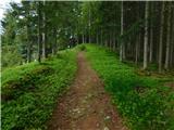 Gasen - Weberhofer Alm