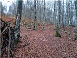 Poklon - Krog (Učka)