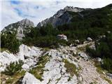 Ravenska Kočna - Kranjska Rinka