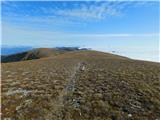 Parkirišče Hoyer (Neuhofgraben) - Lärchkogel (Glinska planina / Gleinalpe)