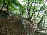 Hotel Boka - Planina Baban