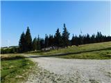 Alpl (Waldschulle Alpl) - Holta-Hütte (Rattner Alm)