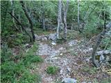 Ljubotić (Sv. Ante) - Planinsko zavetišče Tatekova koliba