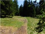 Boharina - Rogla