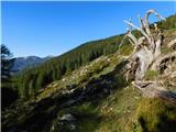 Planina Loka - Planina Arta