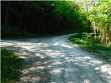Gračnica - Sveti Lovrenc (nad vasjo Okroglice)