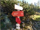 Robanov kot - Veliki vrh (Veža)
