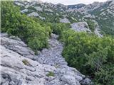 Ljubotić (Sv. Ante) - Planinsko zavetišče Tatekova koliba