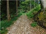Javorje (Mala Črna) - Smrekovec