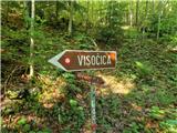 Odcep s ceste na Jelovo Rujo - Visočica