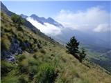 Planina Zapleč - Kal (greben Krnčice)