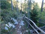 Planina Ravne - Veliki vrh (Veža)