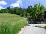 Jesenovo - Črni vrh (Čemšeniška planina)