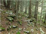 Reichenfels (Taxwirt) - Peterer Riegel