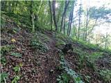 Stojdraga (Glažuta) - Tuščak (Žumberačka gora)