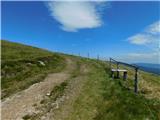 Oberfresen (Brendlwald) - Kleiner Frauenkogel (Golica / Koralpe)