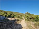 Ist - Straža (otok Ist)