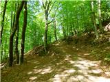 Planina Polog - Žlejžn