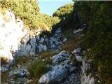 Planina Ravne - Veliki vrh (Veža)