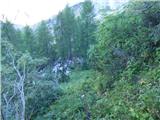 Bavšica - Šmihelovec