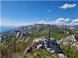 Panos
