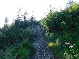 Niederalpl Ort - Hohe Veitsch